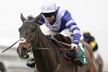 Frodon